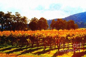 Napa Valley Vineyard in Autumn Colors 2 . by wingsdomain.com