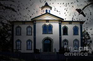 Night Of The Birds . Revisiting Alfred Hitchcock . By Wingsdomain.com Art And Photography