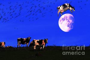 Wingsdomain Thanks Art And Photo Collector From Swampscott MA Who Purchased A Fine Art Gliclee Print Of The Cow Jumped Over The Moon