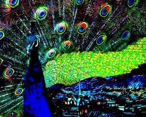 Wingsdomain Releases Starry Peacock Night Available For Purchase As Fine Art Print