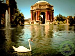 Swan At The San Francisco Palace Of Fine Arts By Wingsdomain Art And Photography