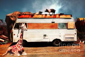 RV Trailer Park By Wingsdomain Art And Photography