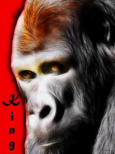 Wingsdomain.com Has Released An Exciting New Original Photo Artwork Titled The Silverback Gorilla . King Of The Jungle