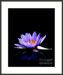 For Mothers Day Give A Creative Original Art And Photography Framed Fine Art Gliclee Prints From Wingsdomain
